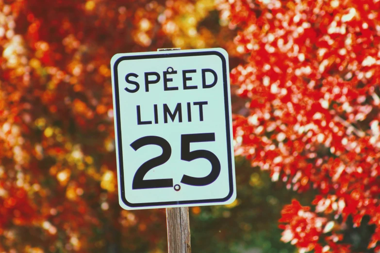 a speed limit sign is shown next to a tree