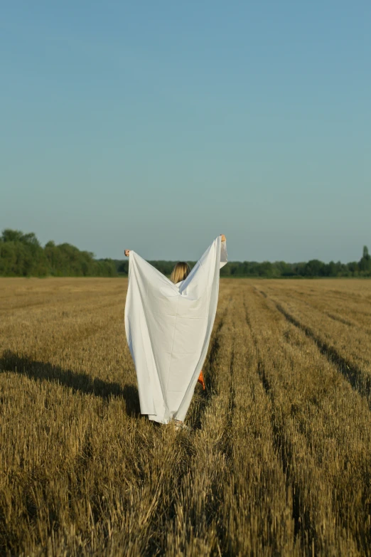 woman in dress on grass field with cloth dd over her