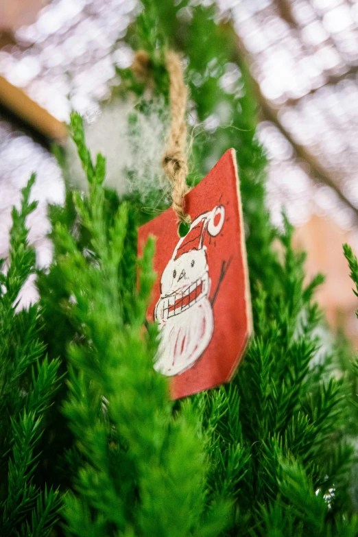 some green trees with red and white tags in them