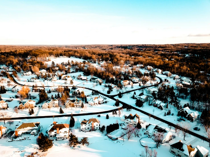 a aerial view of a village with trees and snow