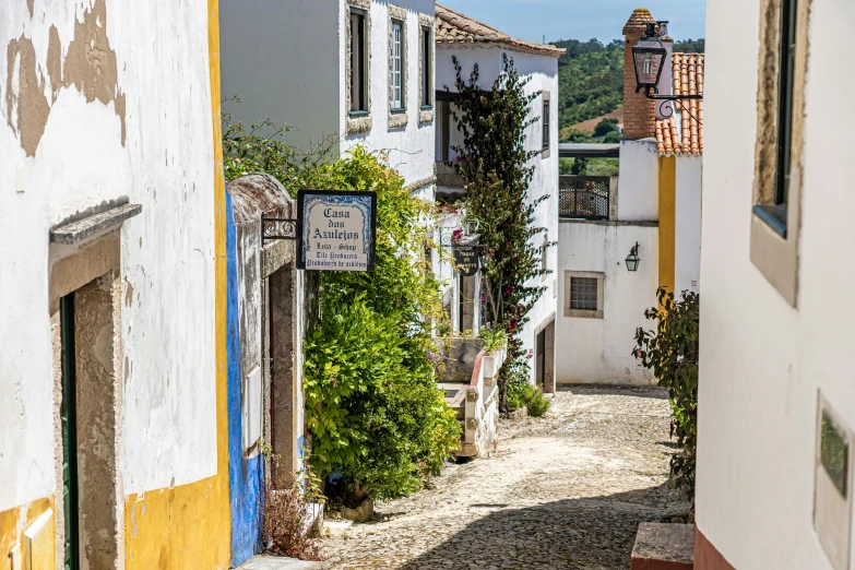 a narrow cobblestone street that has vines growing all over it