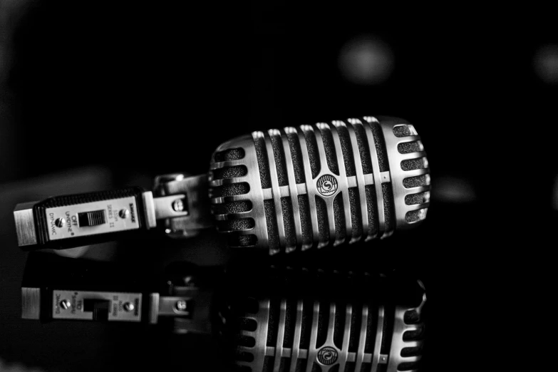 a black and white image of a microphone