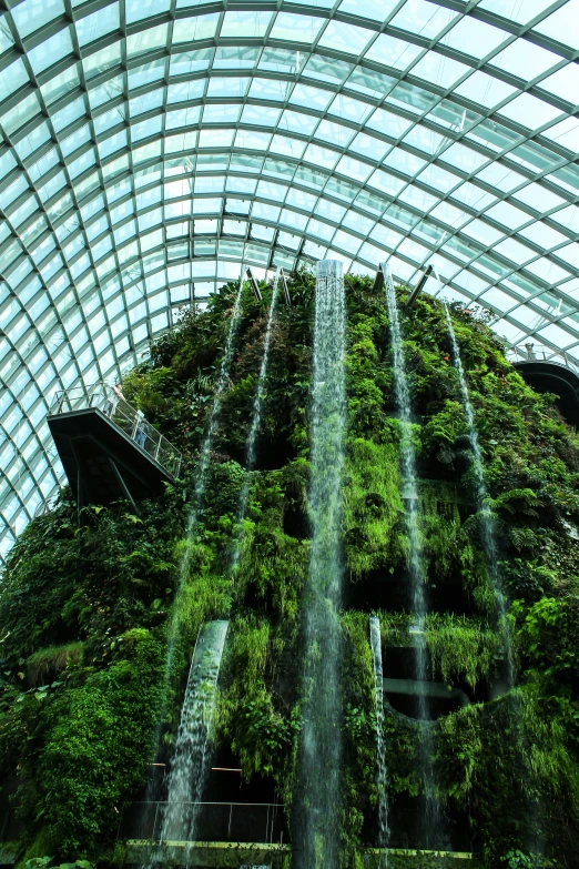 a huge plant covered building with fountain being blown down