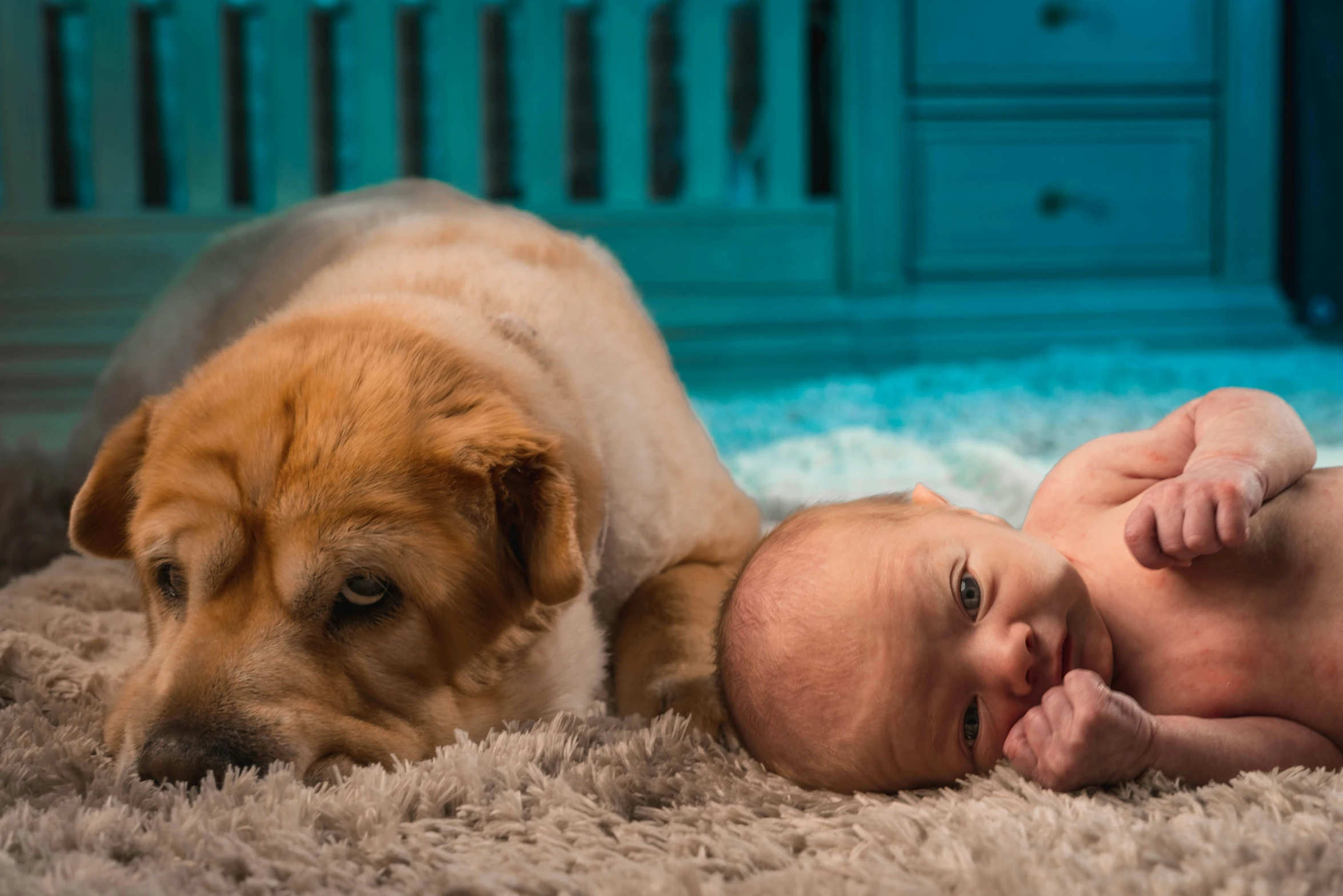 a baby and a dog lie on carpet and lay on it