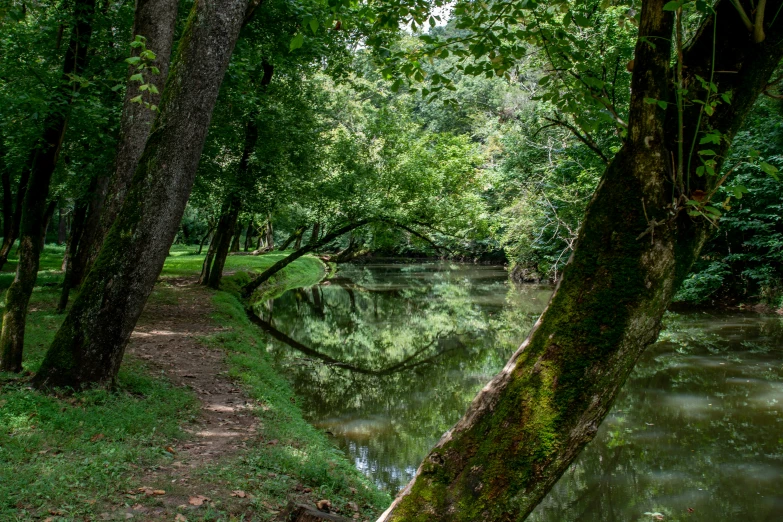 a pathway with a river running through it