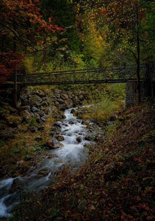 the water is rushing through the wooded area