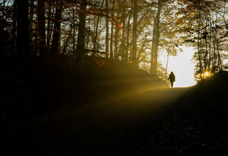 a man standing alone in the woods, looking towards the sun