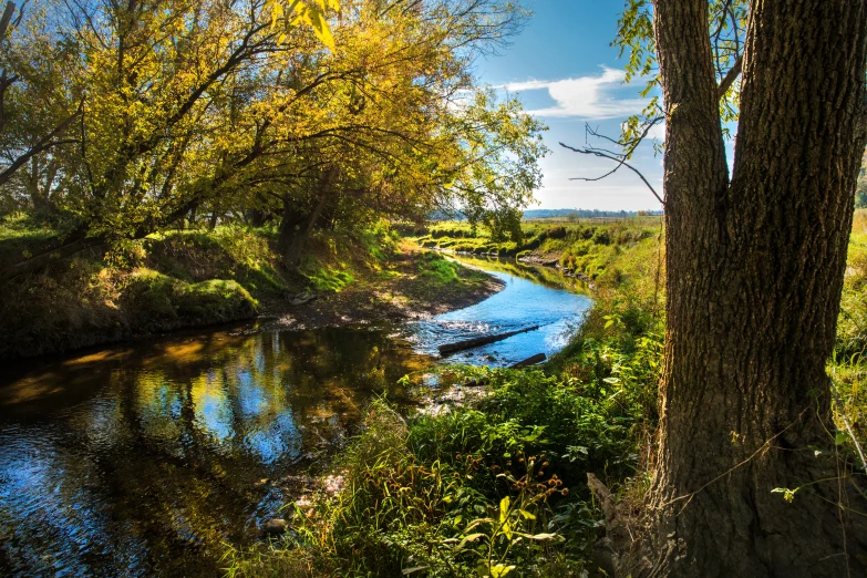 the river is clear and blue as it runs through a wooded area