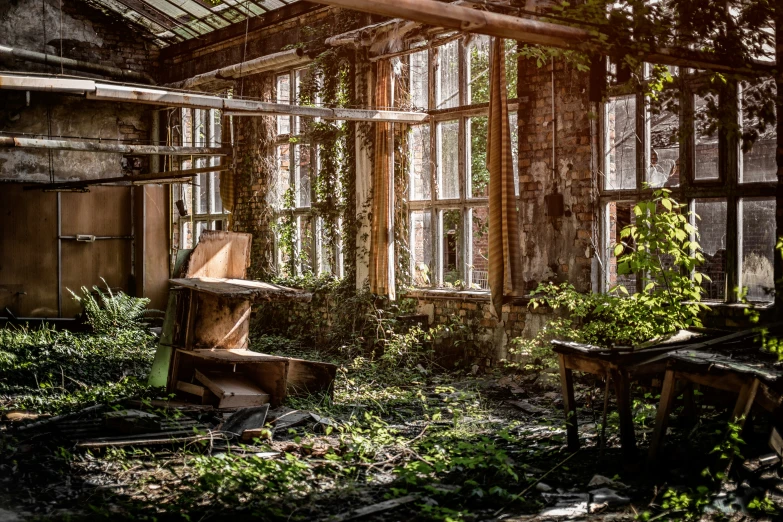 old abandoned building with several broken windows and some vegetation