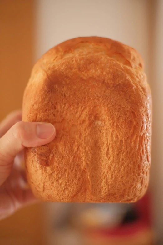 an image of someone holding up a toasted piece of bread