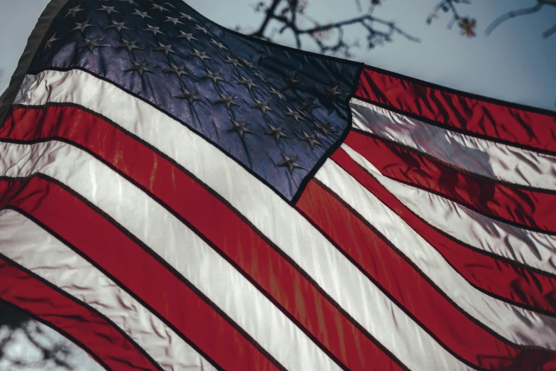 an american flag with a star span, hanging in a tree