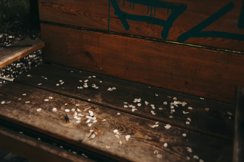 white and silver powdered objects scattered all over a brown wood bench