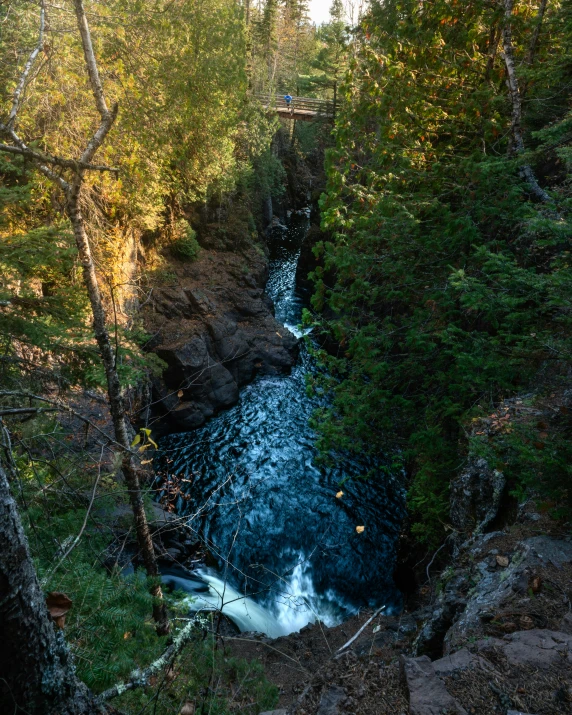 water in a very deep river flowing through a forest