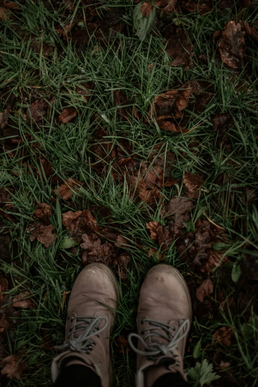 a person in brown shoes standing in leaves