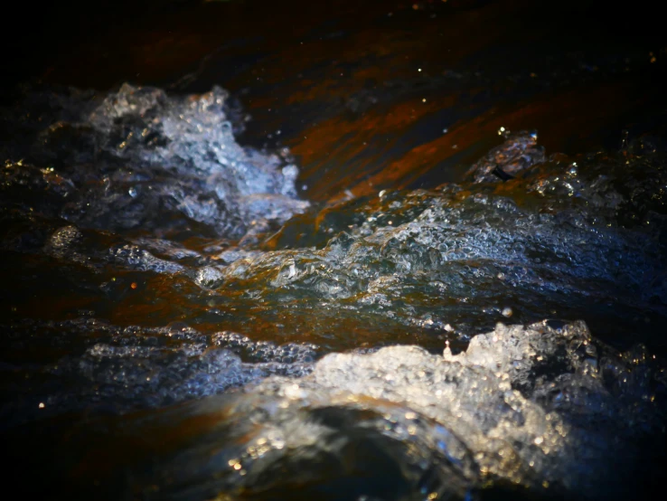 a bird flies through an open water area