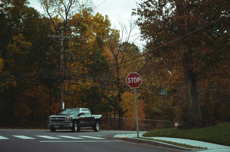 a truck driving past a stop sign in the autumn