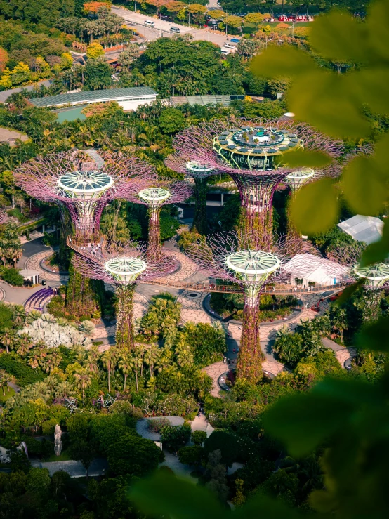 aerial view of the gardens of the expo park and some trees