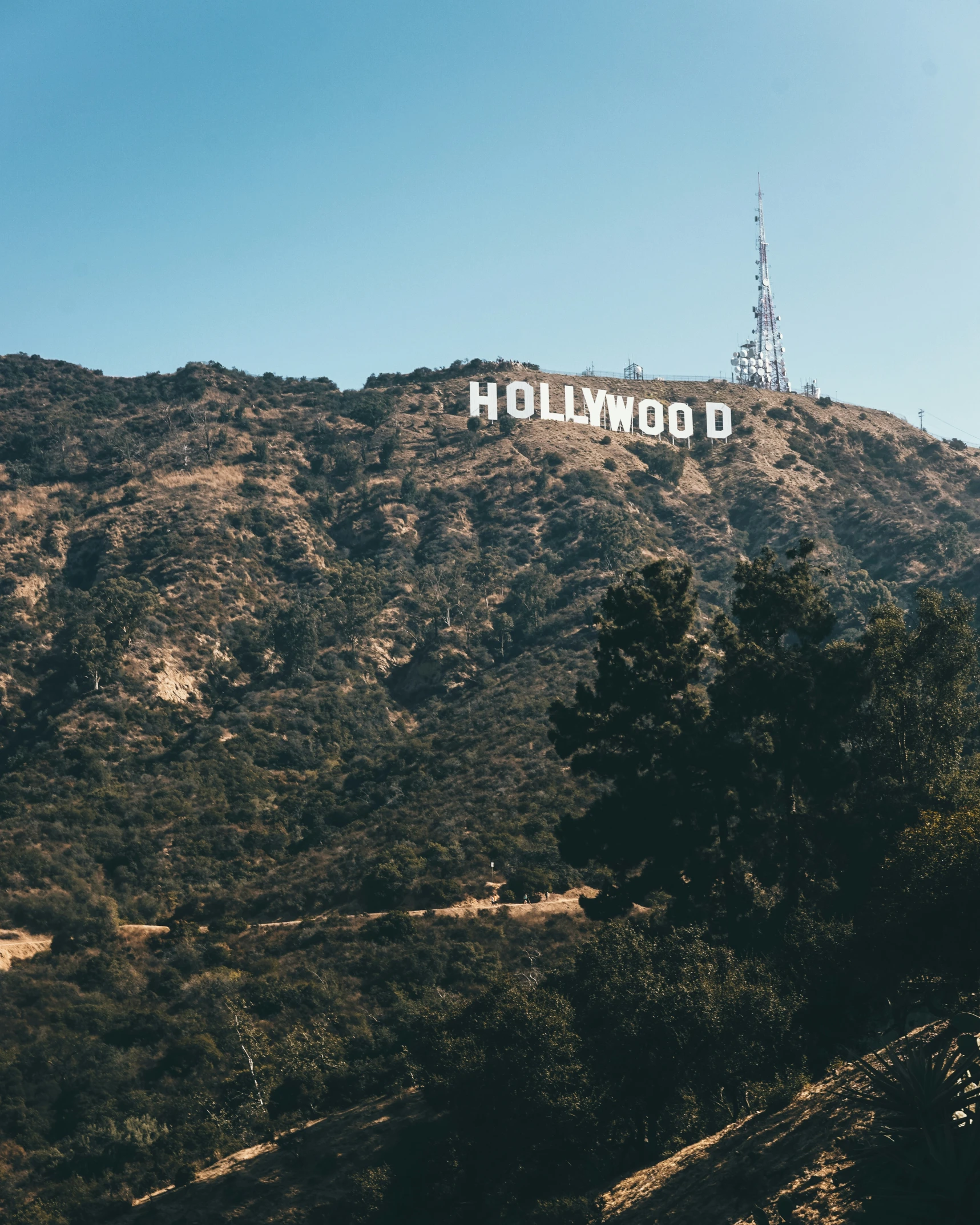 hollywood sign on top of a mountain surrounded by trees