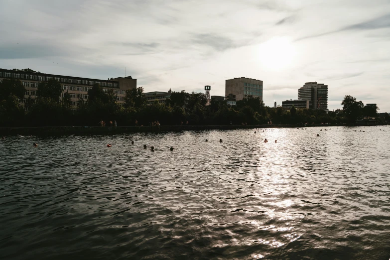 a body of water with buildings in the background