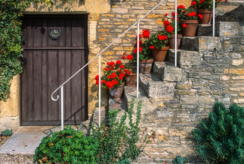 a door and stairs leading to some potted plants