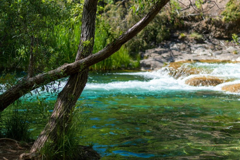 a stream with clear blue water flowing under trees