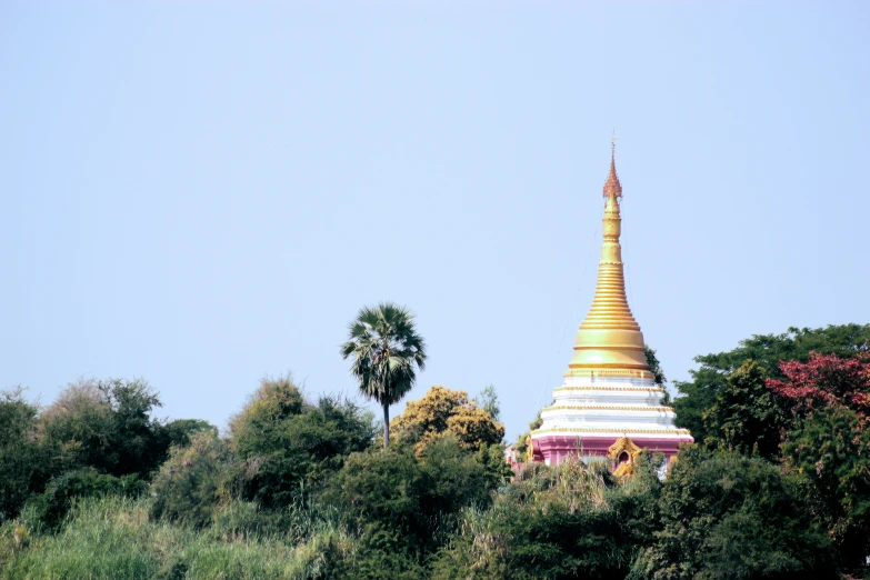 a tall gold and white building in the middle of a forest