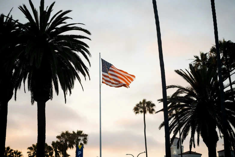 the american flag flies high at dusk next to tall palm trees