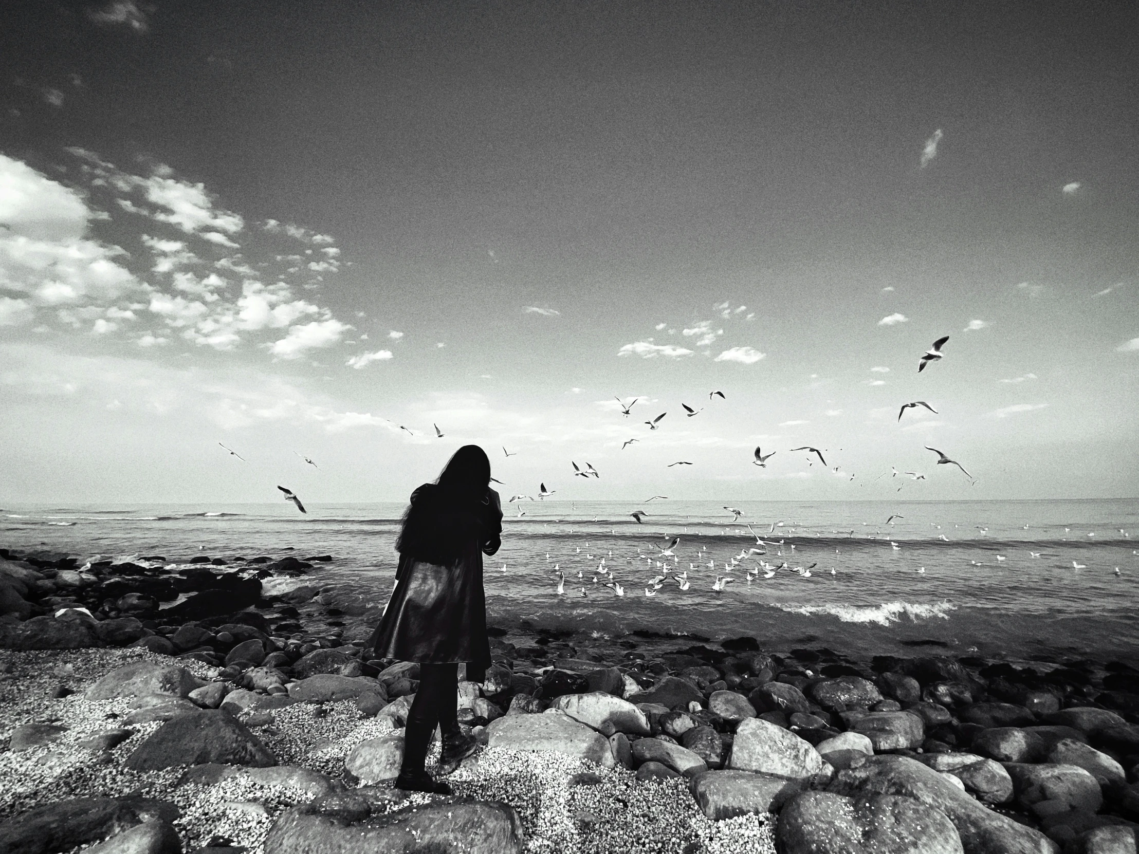 a girl looking out over the water, with some birds flying overhead