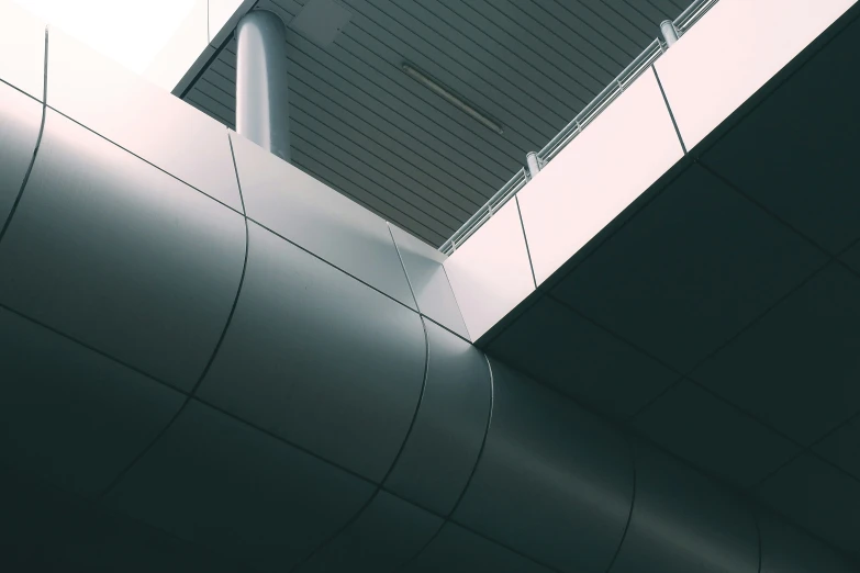 a black and white po looking up at a building