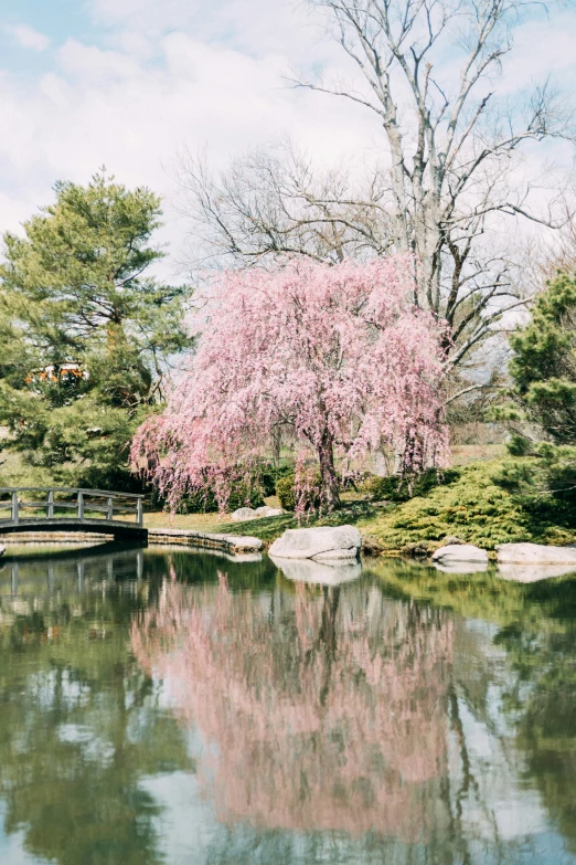 a small bridge going over the water with trees in the background