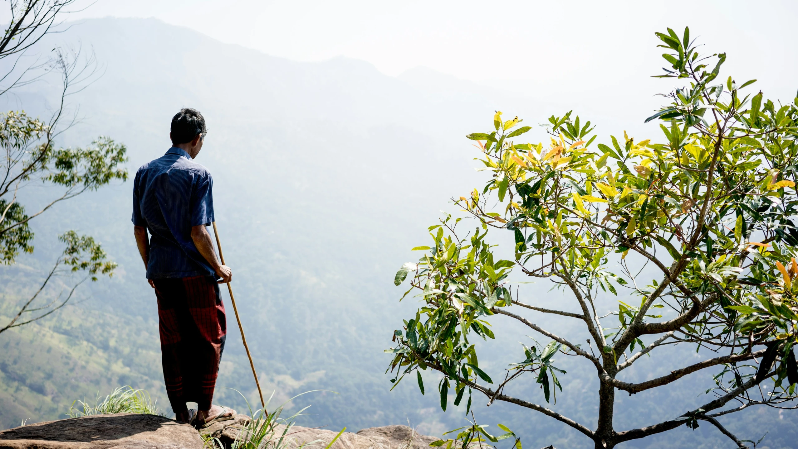 a man is standing on top of a rock with a cane