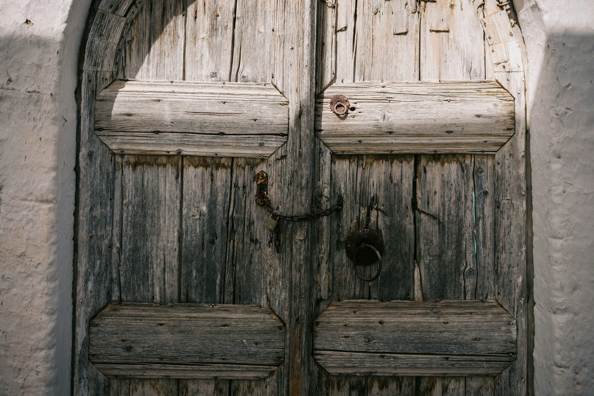 a weathered door has a small bird perched on it