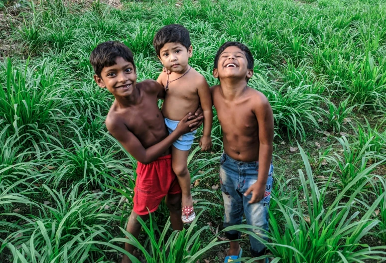 three boys with their bare torsos stand among a lush green field