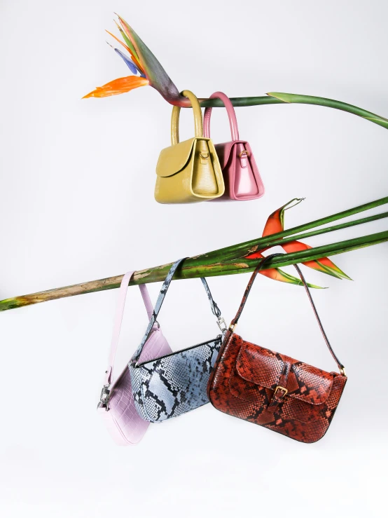 a set of three handbags hanging from a tree nch