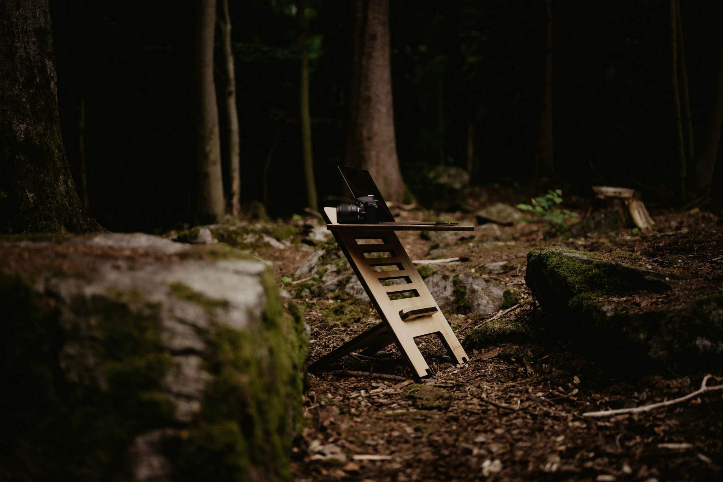 a wooden chair is sitting on the ground in the forest