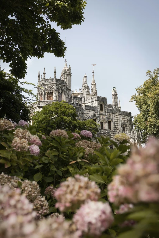 a castle on a sunny day with purple flowers