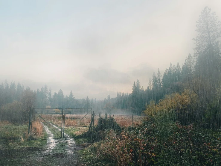 some fog in the air near a small stream