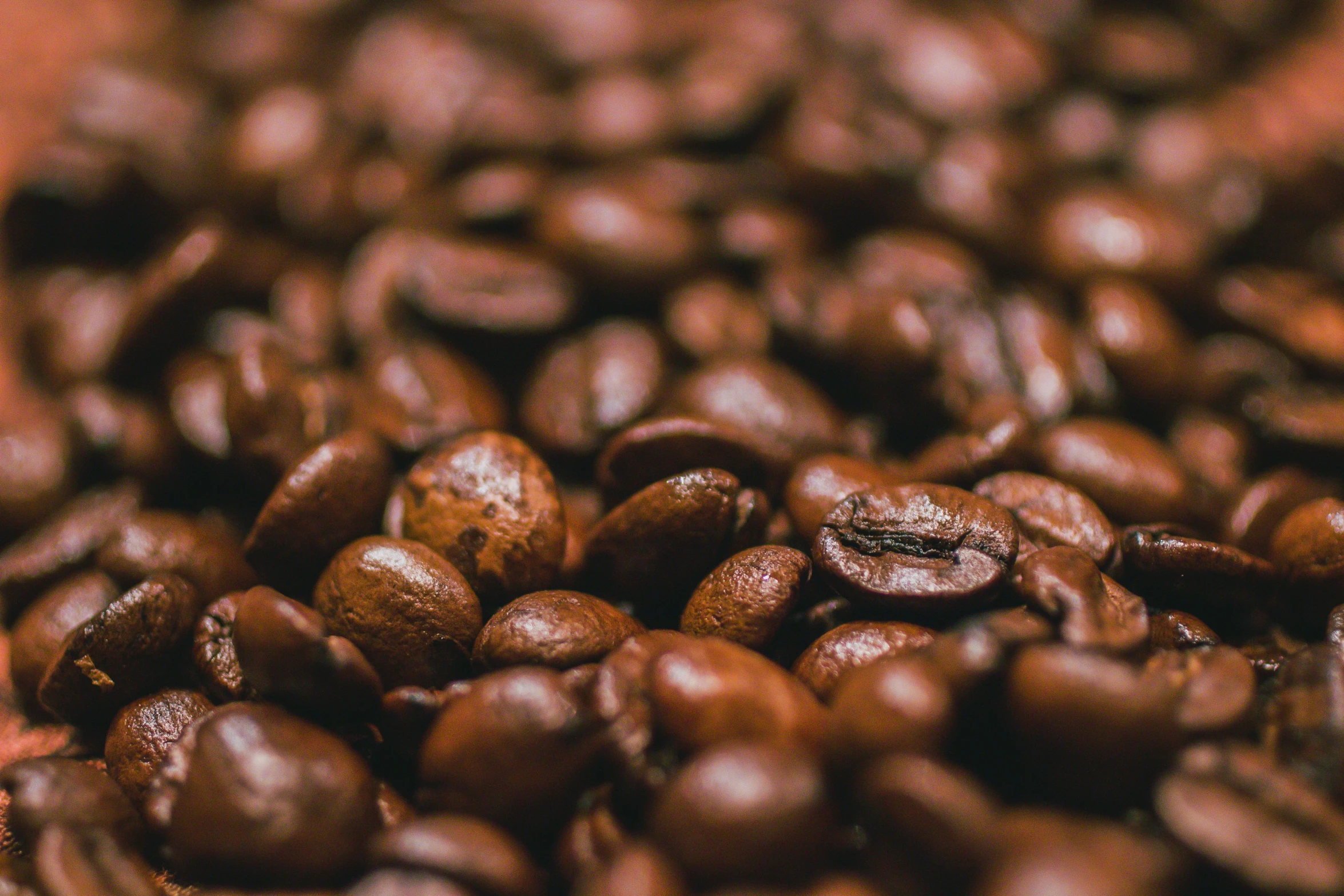 a close up s of coffee beans