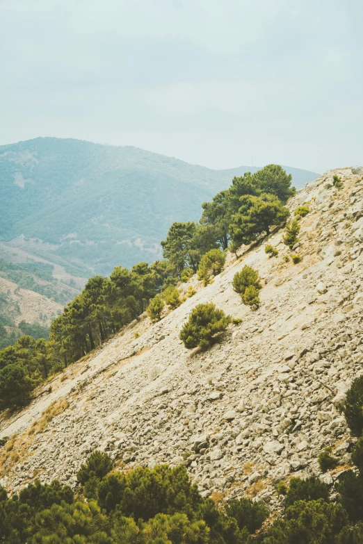 a mountain with trees and bushes growing from it