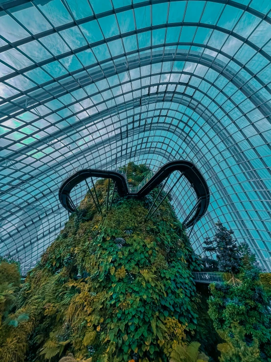 the inside of an indoor greenhouse