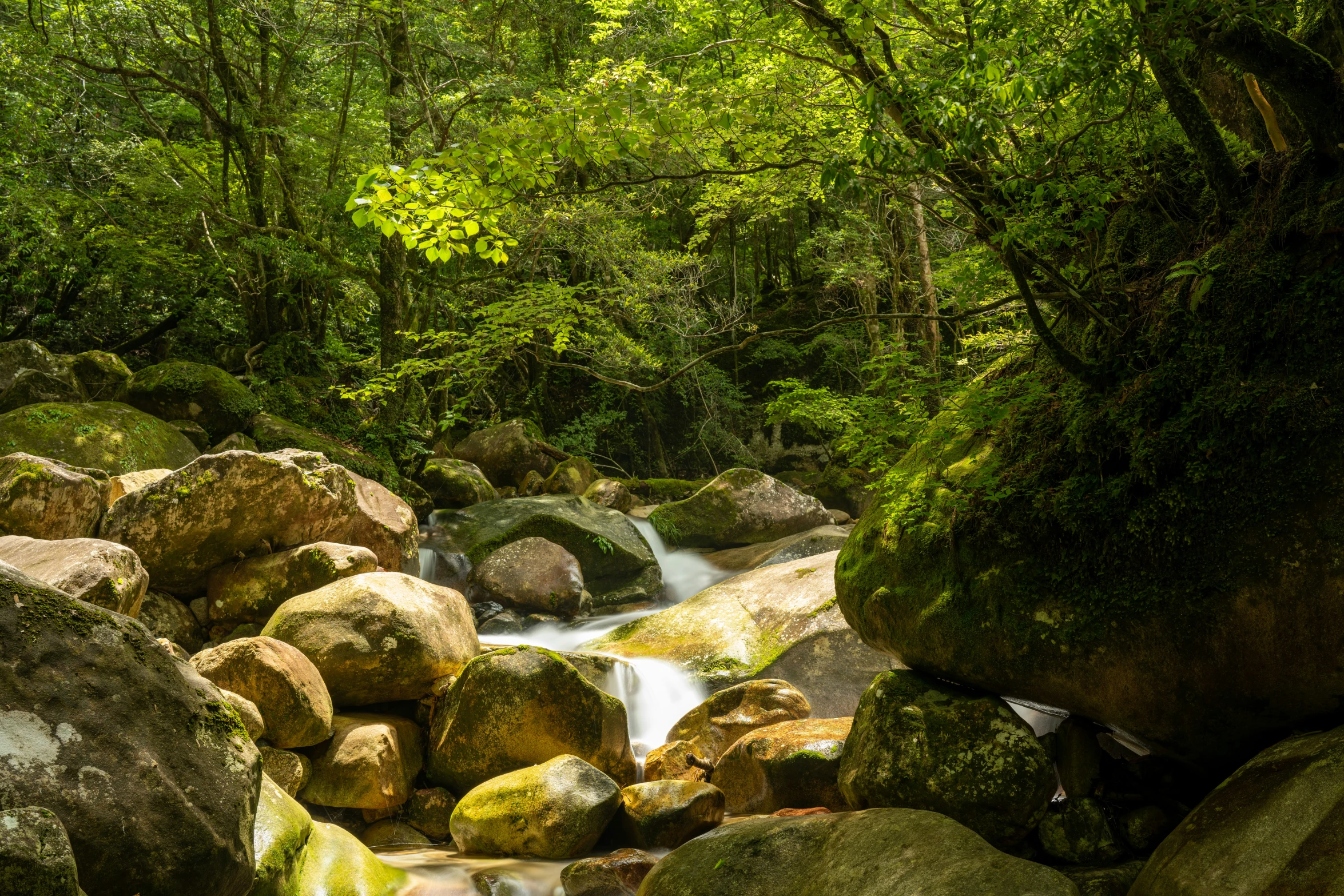 a river runs between some large boulders covered in moss