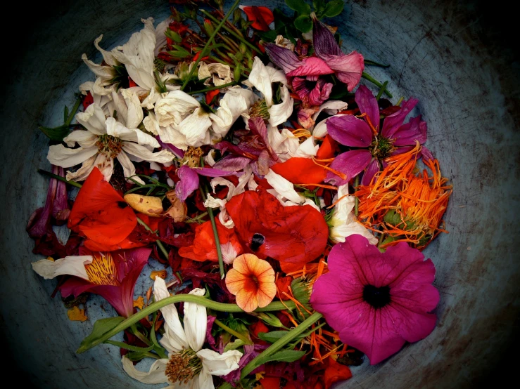 flower petals and other flowers laid on the side of a bowl