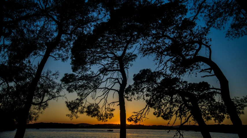 the setting sun lights up the sky over a lake with two trees in silhouette