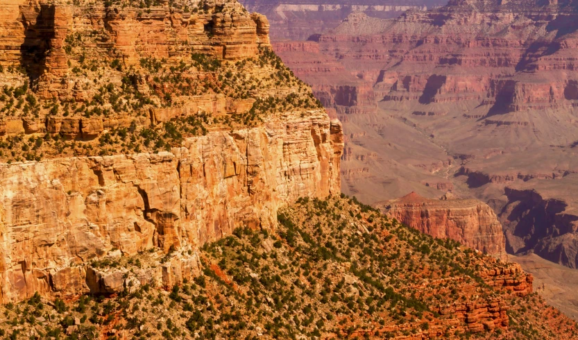 the vast area of a mountain, a plateau, and a canyon