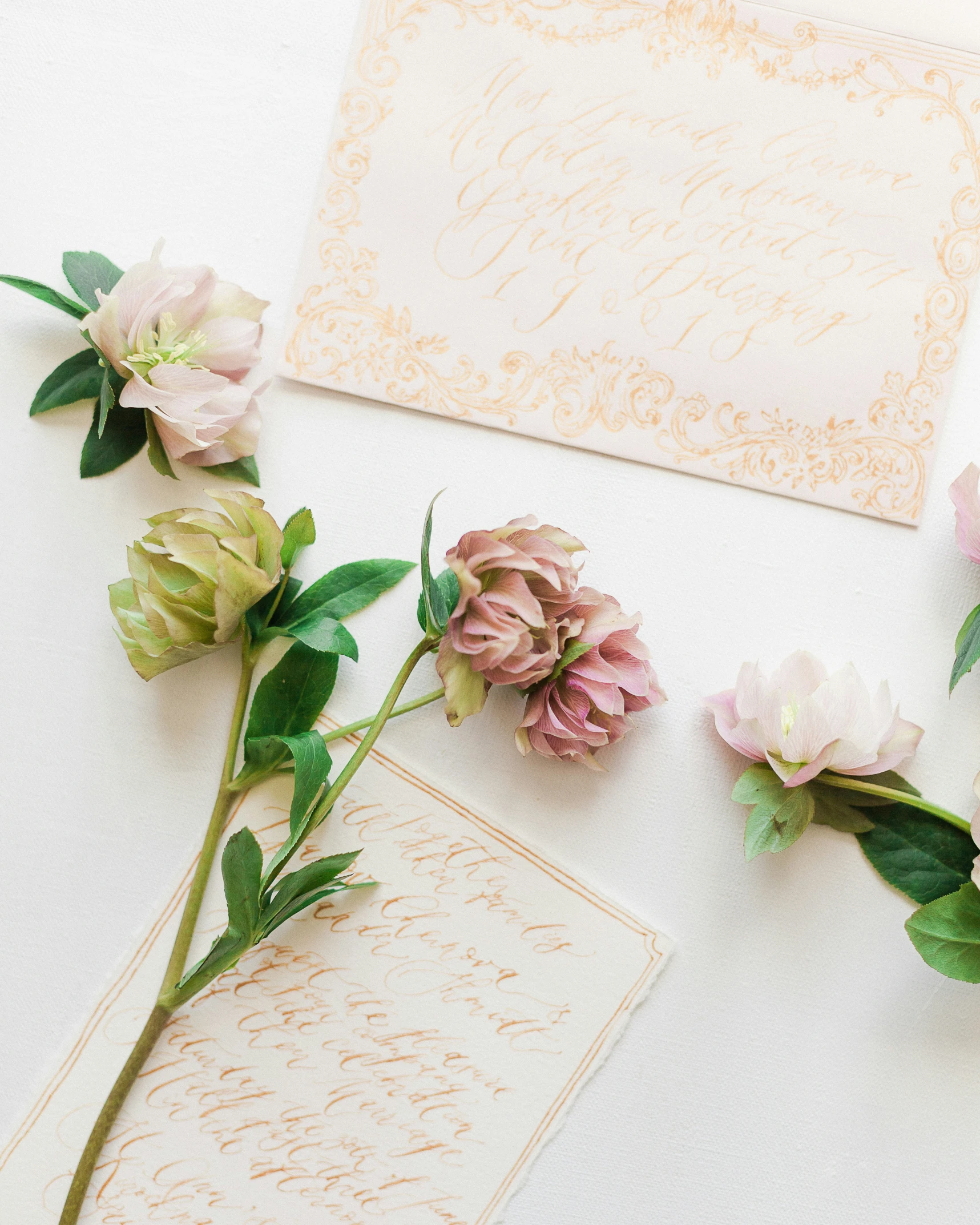 some flowers are laying on a white table