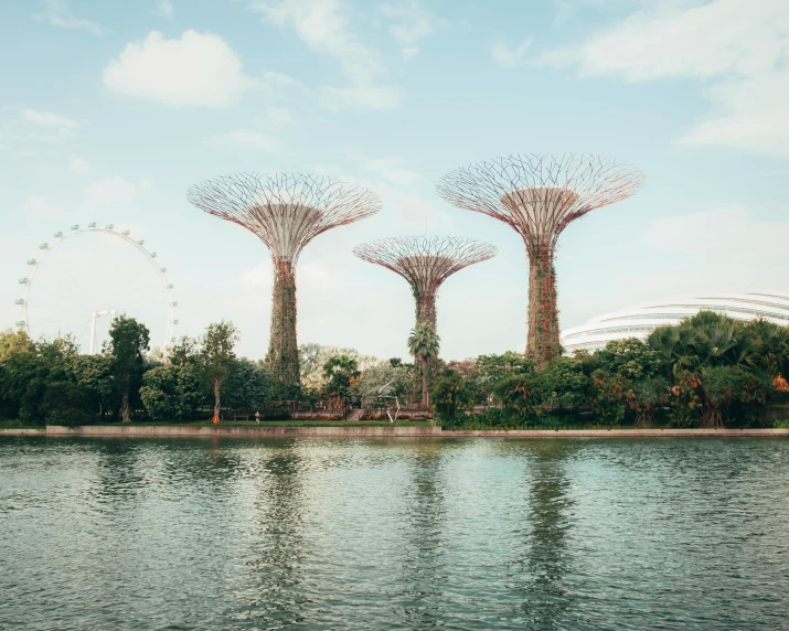 two tall trees stand above the water near a building