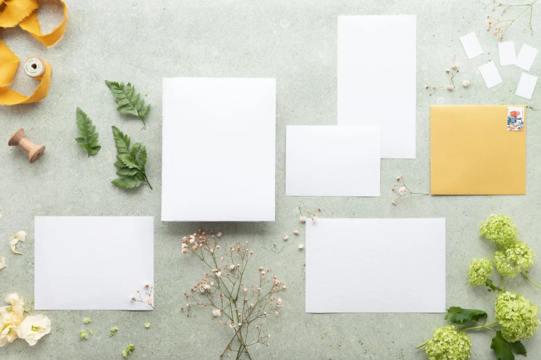 different types of blank papers next to some green plants and yellow envelopes