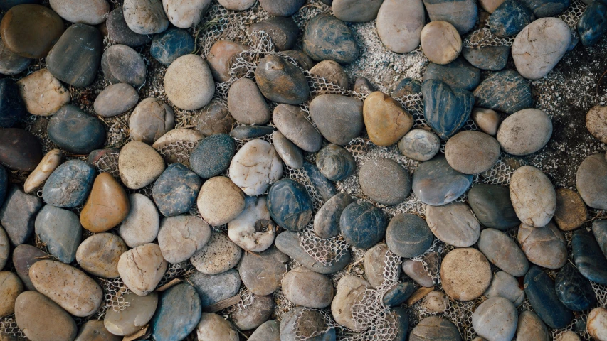 a close up of rocks and gravel on a ground