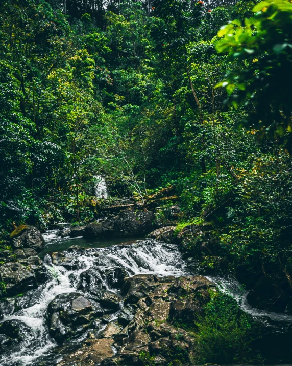 the creek flows past a very large mound of rocks