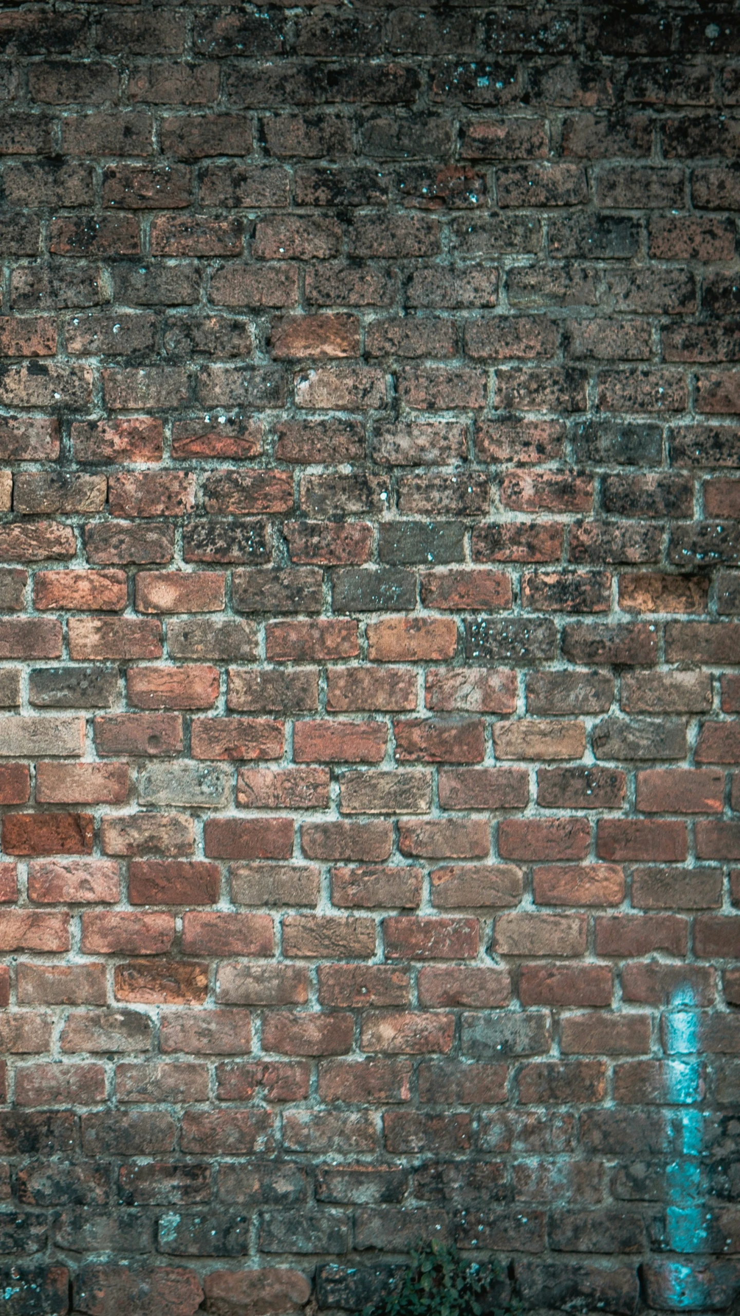 the fire hydrant is in between two brick walls